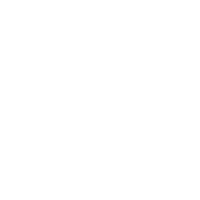 Project Item Icon